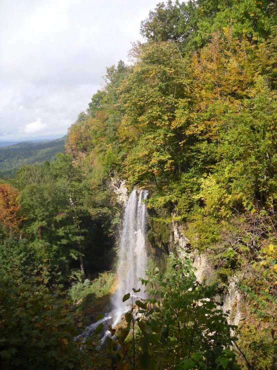 a waterfall near many trees on a cloudy day