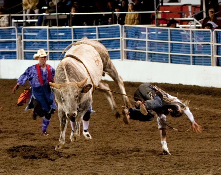 a rodeo rodeo with two men running for the finish