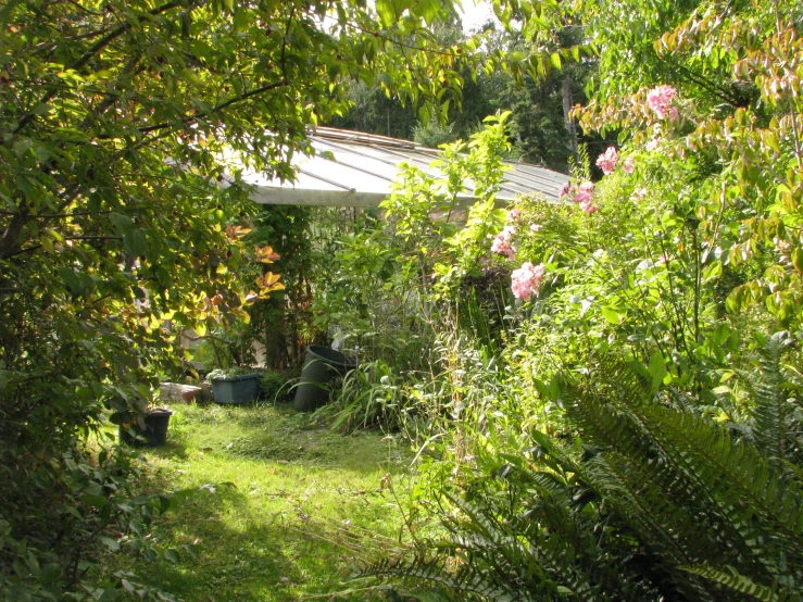 a garden is shown through the bushes