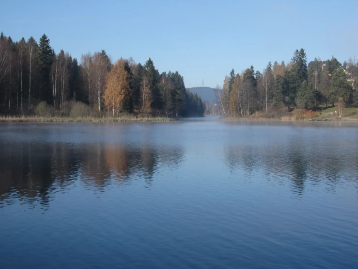 there is a calm lake surrounded by trees