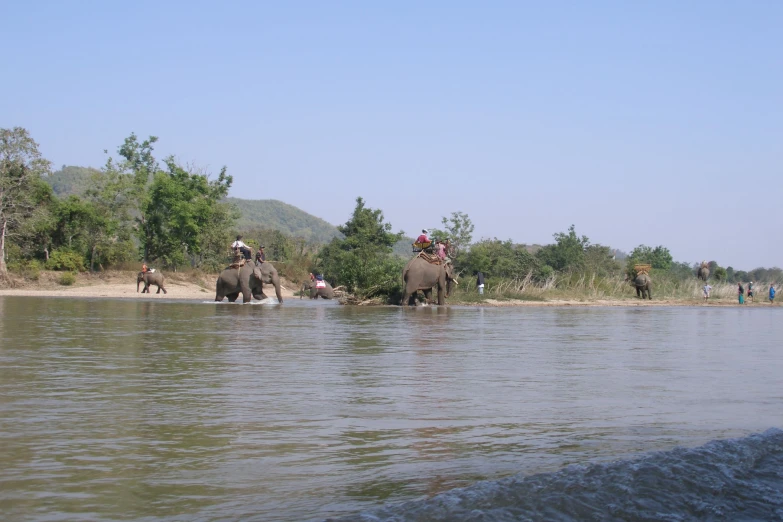 a couple of elephants that are by a lake