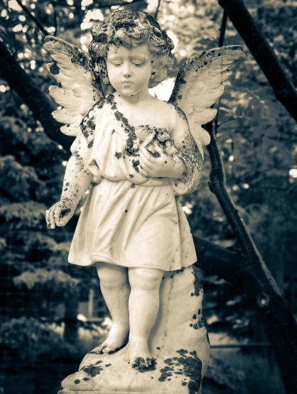 an angel statue standing in a garden