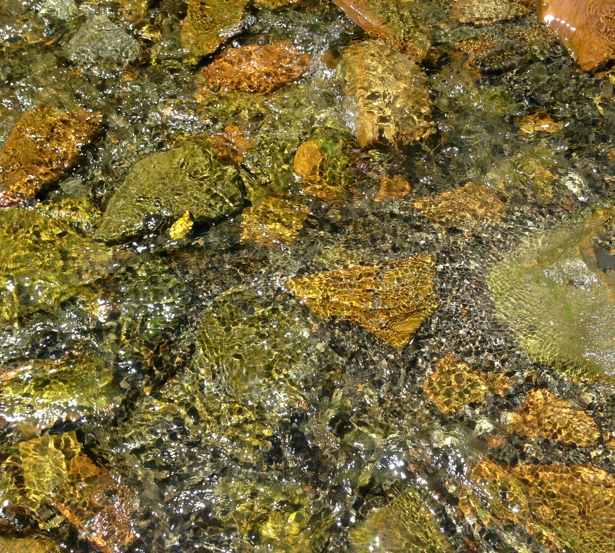 water, moss, and rocks under a large rock