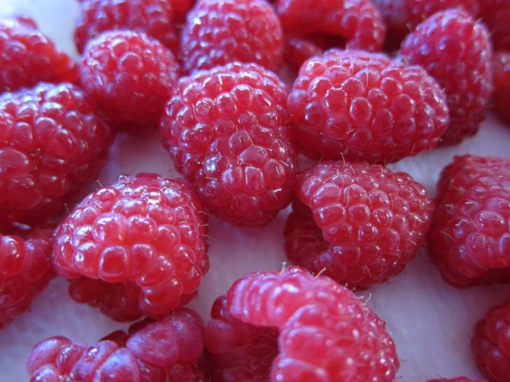 berries are all over a glass bowl to be eaten