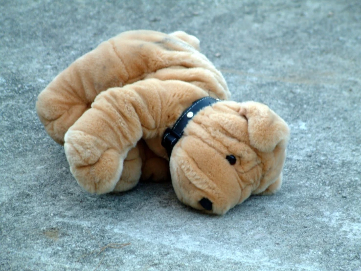 a brown stuffed animal laying on a sidewalk