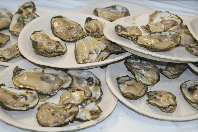 several plates filled with sliced oysters on top of a white tablecloth