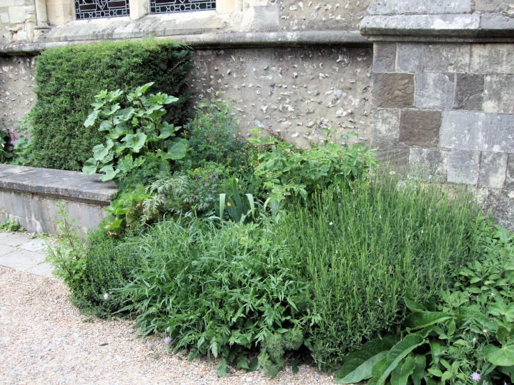 a stone bench is surrounded by plants next to a wall