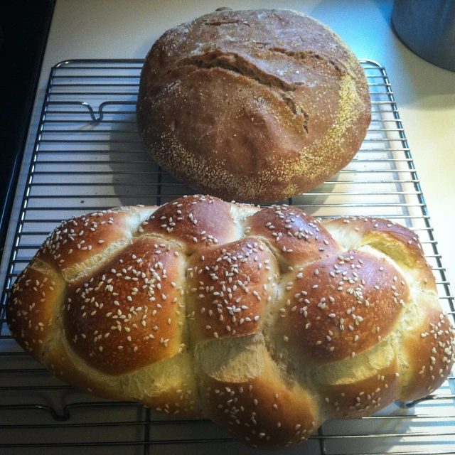 two large, fresh  bread rolls cooling on a rack