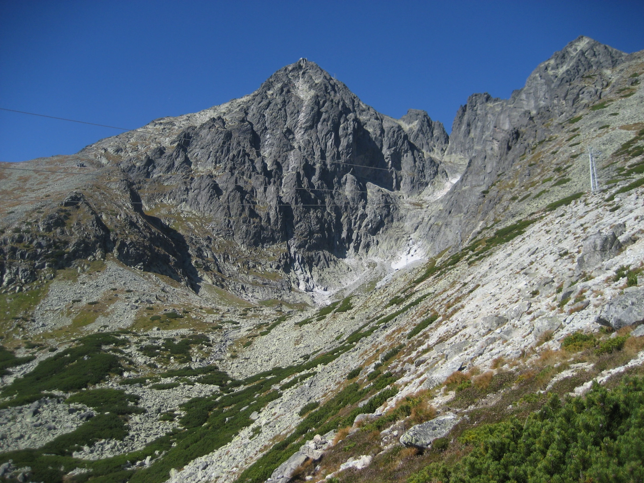 an area with rocks, bushes, and greenery on it