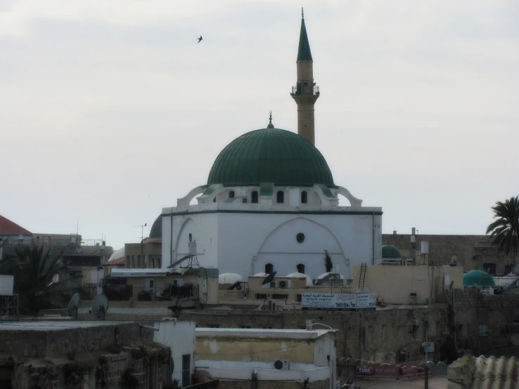 a building with a green dome and two birds on the roof