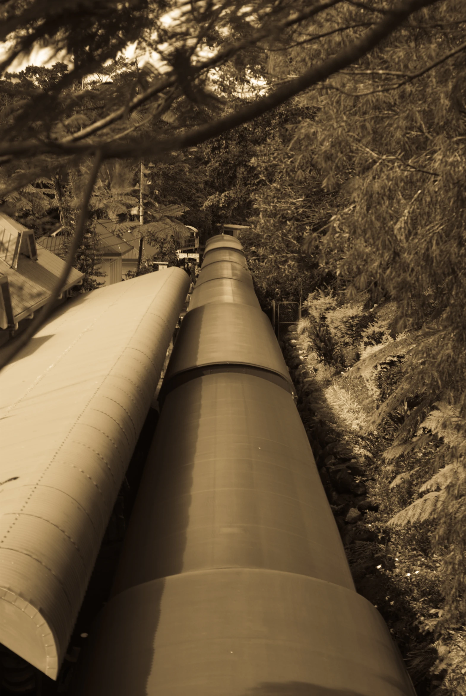 black and white po of a large pipe in a wooded area