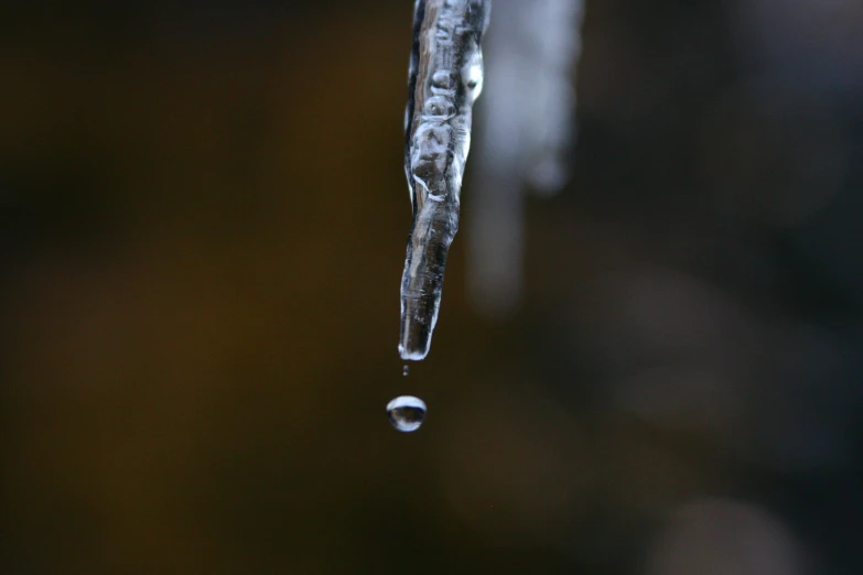 an ice covered icicle and drops of water