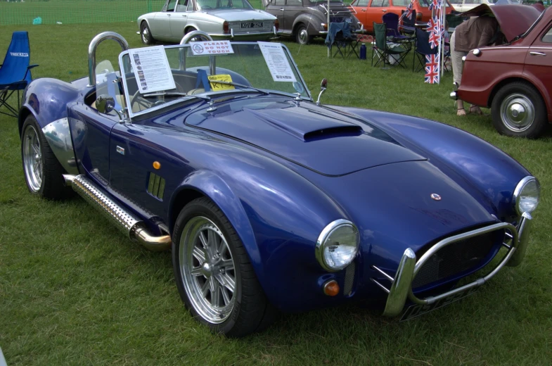 a blue race car parked in the grass