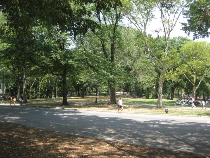 a group of people sitting and walking down a tree lined sidewalk