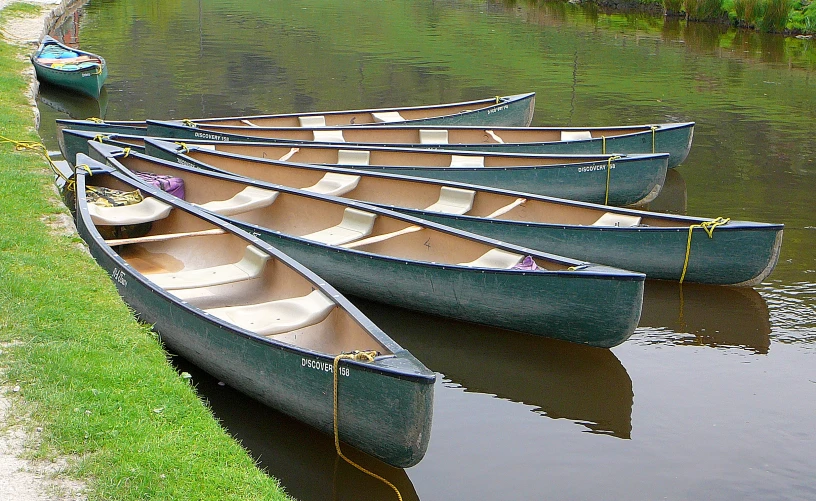 several canoes lined up in front of a body of water