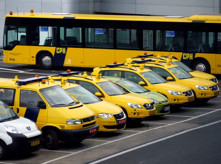 yellow buses parked in a parking lot beside each other