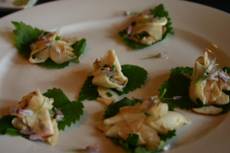 small crepes on top of greens in the center of a white plate