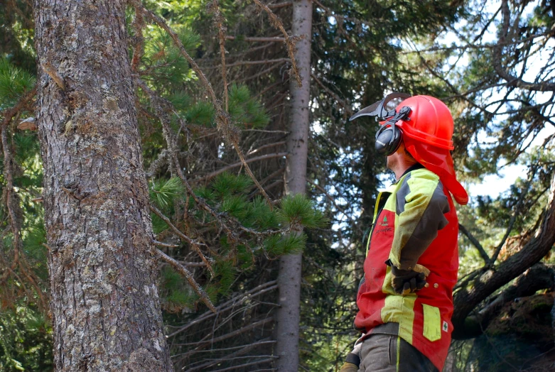 there is a man wearing a red helmet and vest