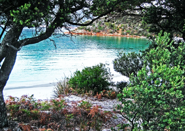 a view out over the water from the side of a hill