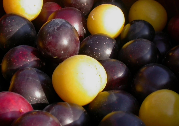 a variety of fruit is displayed in the image