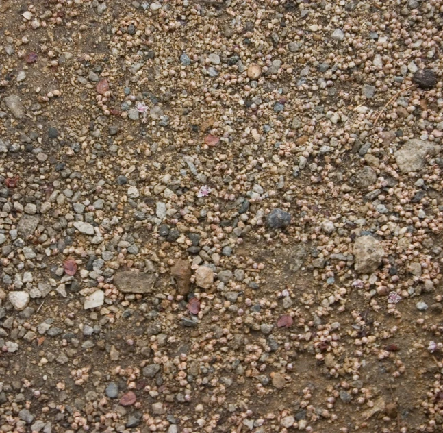 pebbles and rocks that are all over the ground