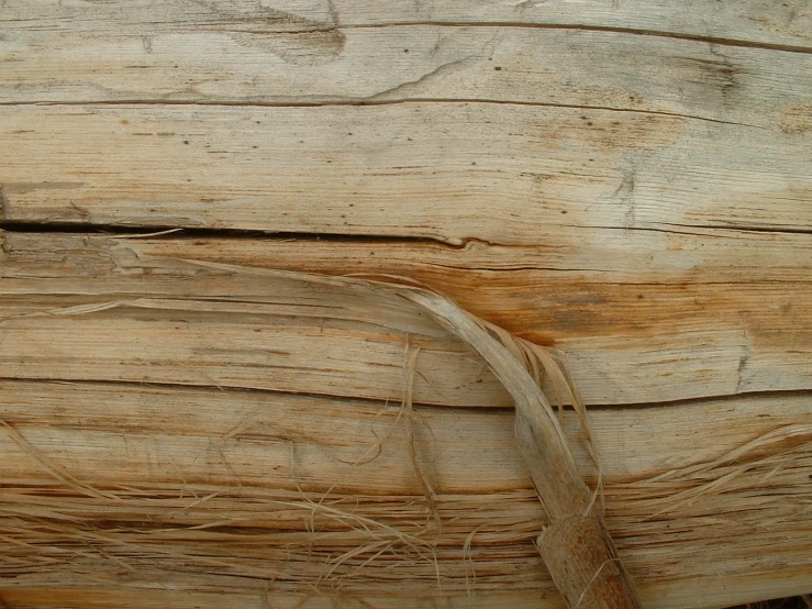 a piece of wood has very thin strips of rope on it