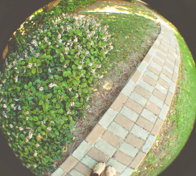 person's legs and feet stand in front of a brick path