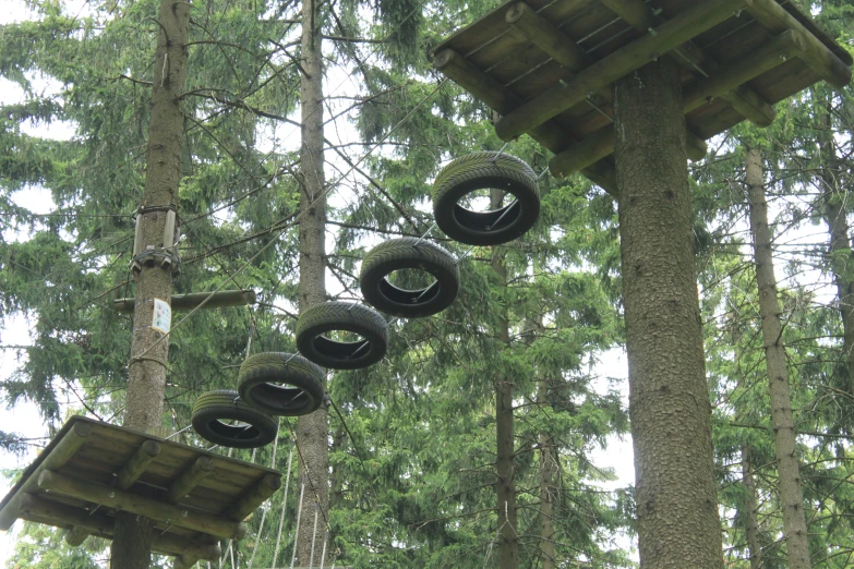 a line of black tires and two trees