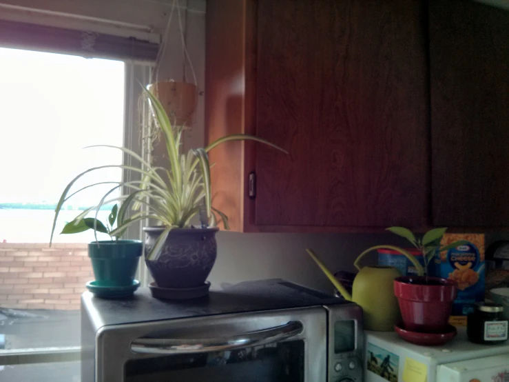 a kitchen sink and oven are shown with plants on top