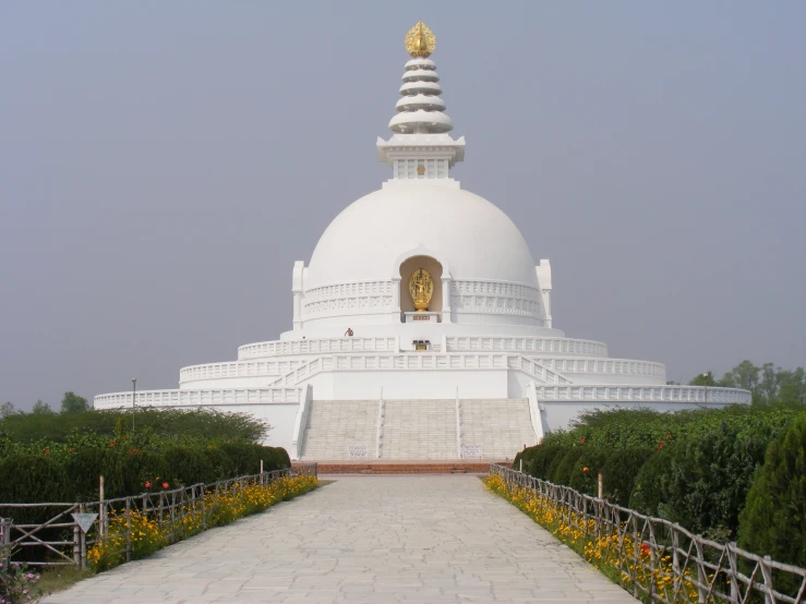 the large white building is surrounded by many trees