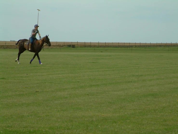 an equestrian rider rides his horse across the grass