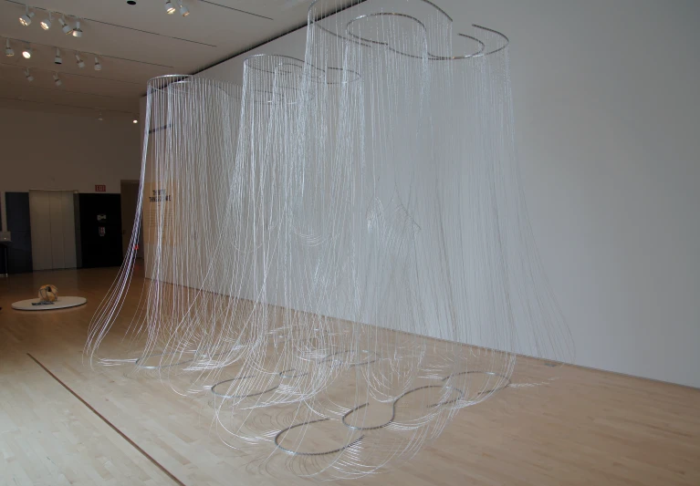 the string sculptures are on display in the room