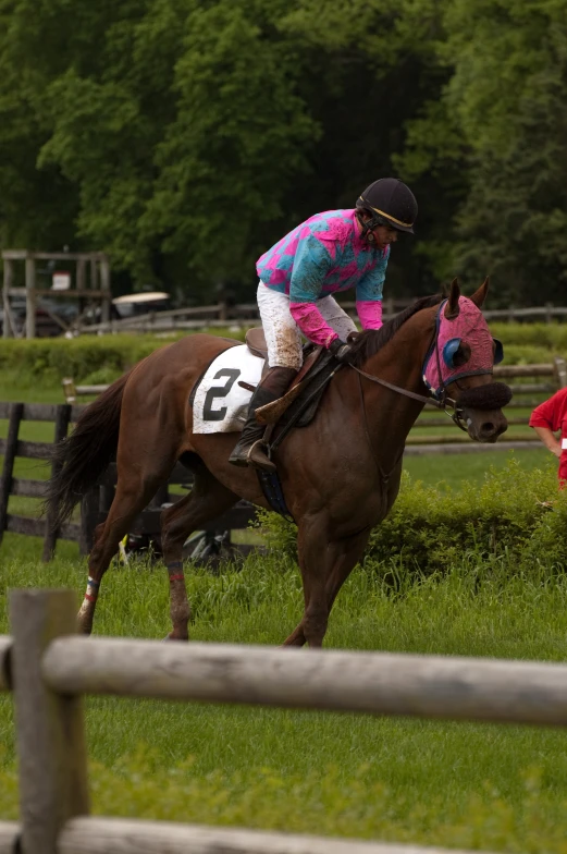 a jockey riding a horse while being followed by a dog