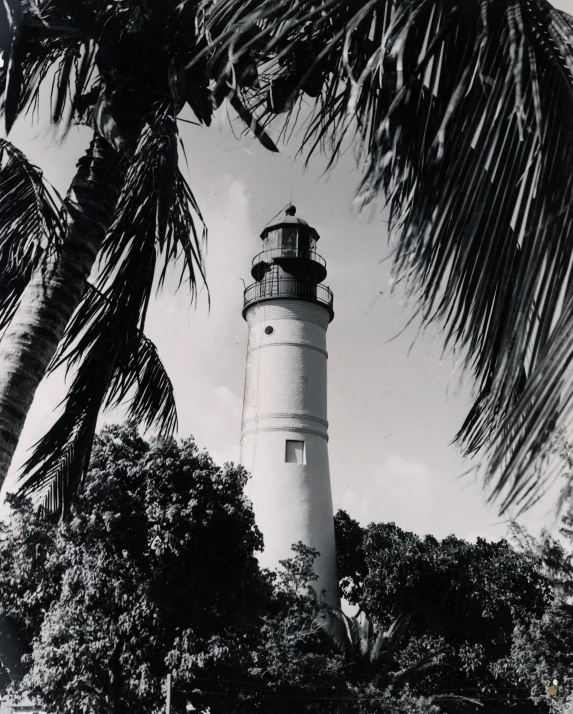 the palm trees and a light house are visible in this black and white po