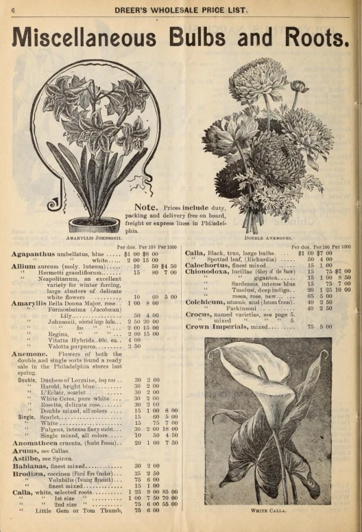 a page that shows various flowers and plants