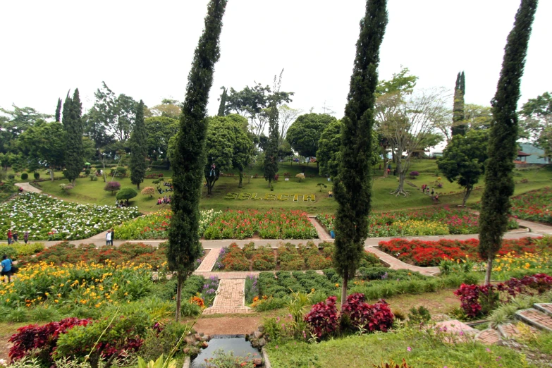 an image of a pretty flower garden setting