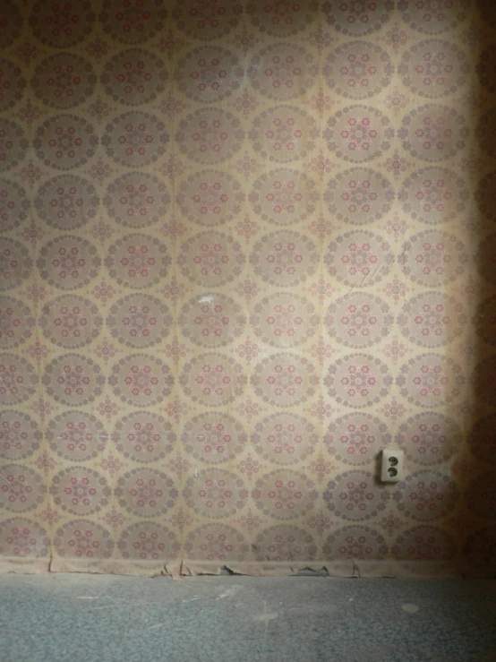 an empty room with a wallpapered wall and cat door