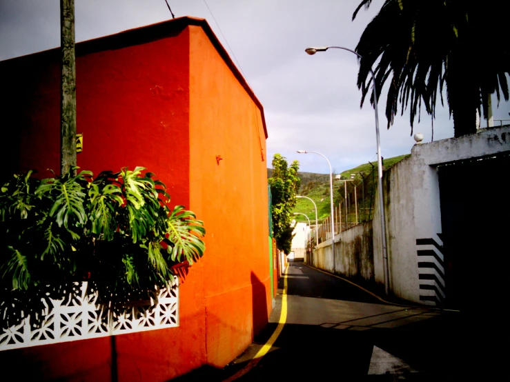 a building is next to a street with palm trees