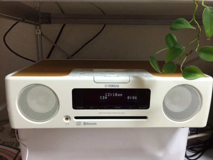 an electronic device with a plant on top of it