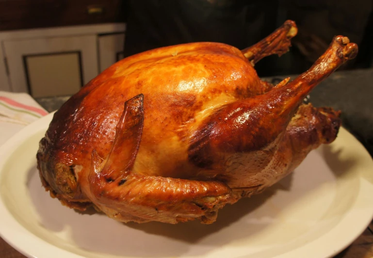 close up view of a roasted turkey on a plate