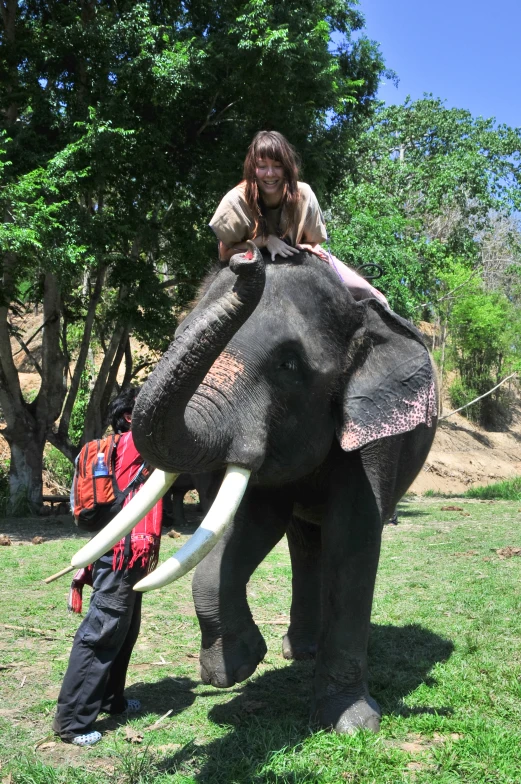 a woman on an elephant riding on it's back
