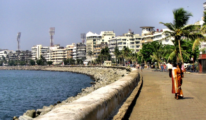 a person is walking on the beach with a city in the background