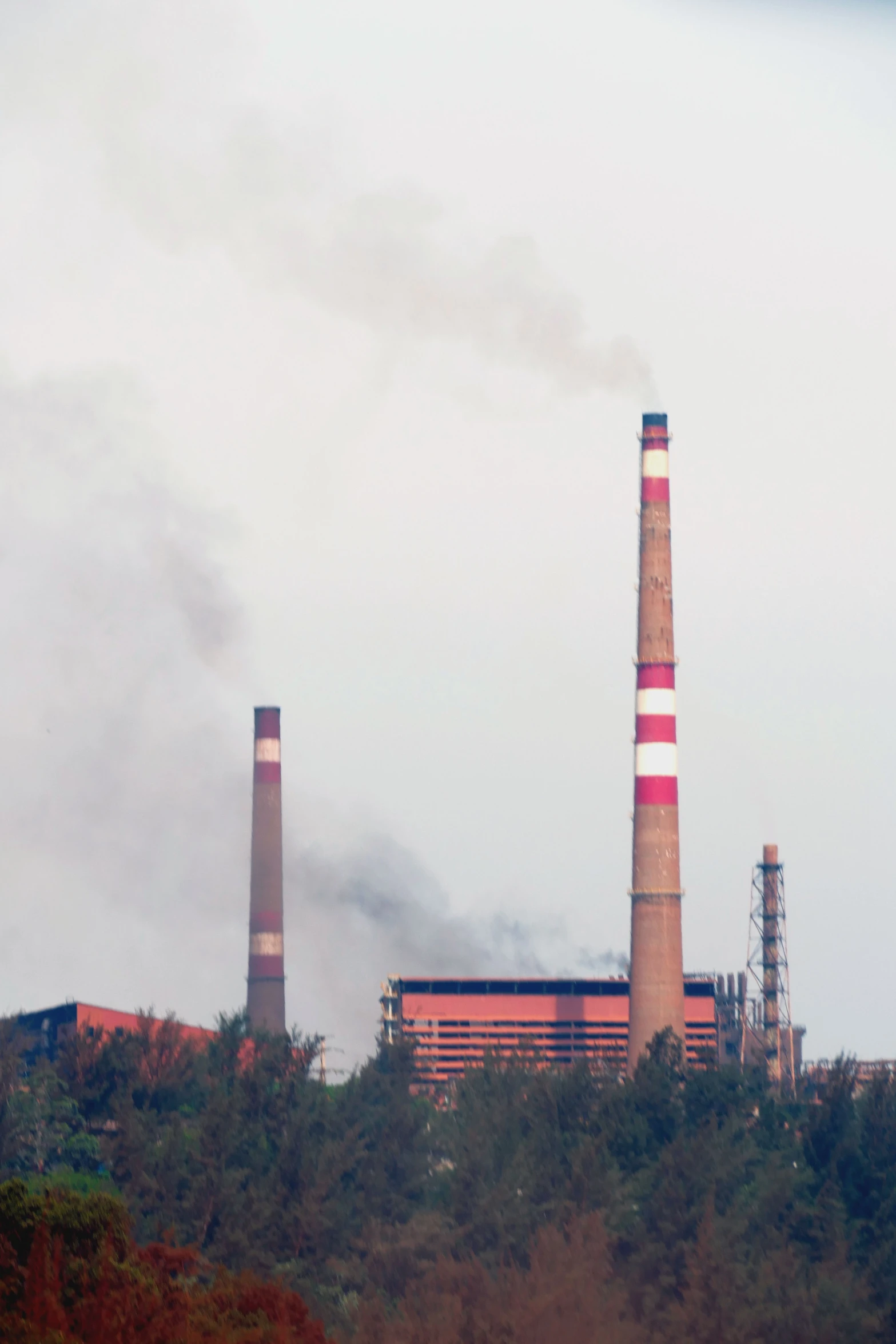 smoke stacks rising from a cooling plant in front of trees