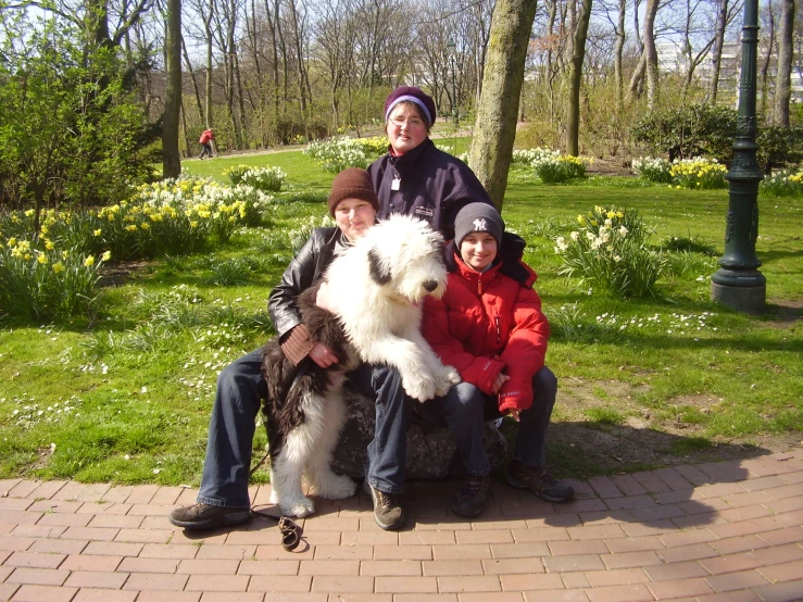 family posing with their dog in a park on an autumn day