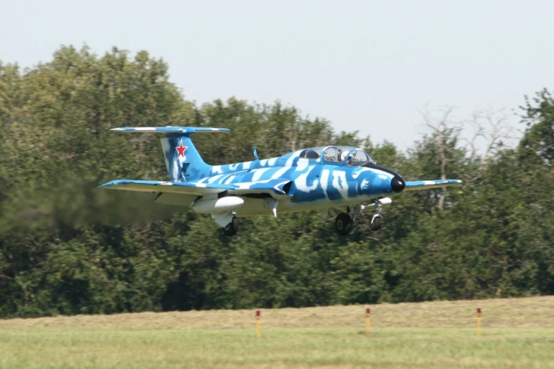 the plane is painted blue with white paint