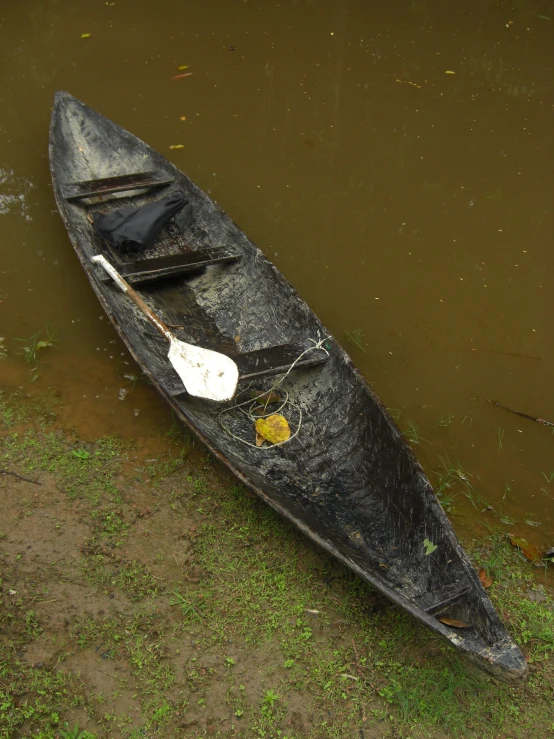 a canoe in the water sitting on the grass