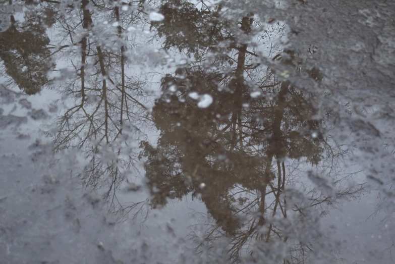 this is some snow and water with trees