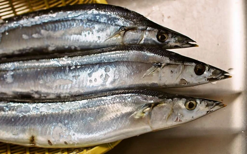 three fish laying next to each other on a yellow basket