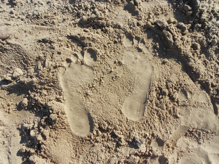 there is a bird drawn in the sand on a beach