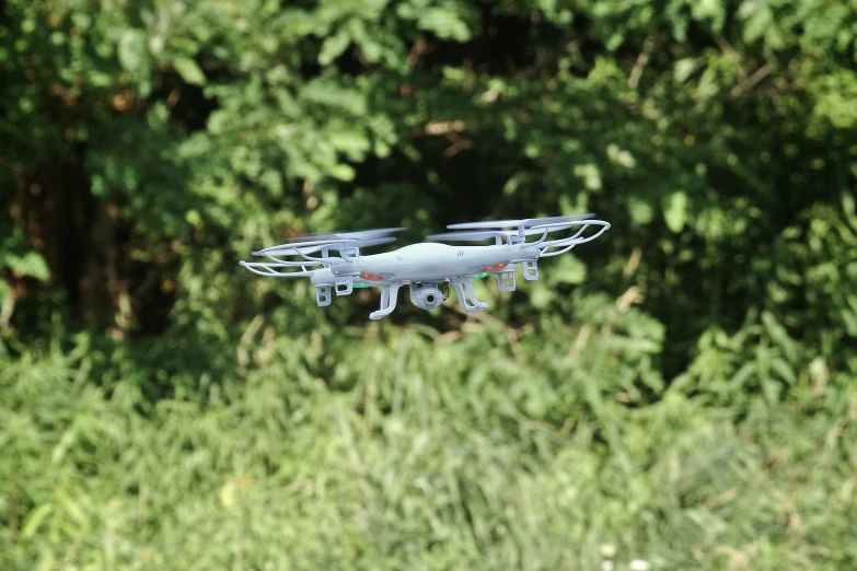 a small white flying through a lush green forest
